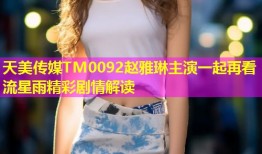 天美传媒TM0092赵雅琳主演一起再看流星雨精彩剧情解读