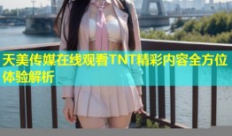天美传媒在线观看TNT精彩内容全方位体验解析