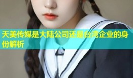 天美传媒是大陆公司还是台湾企业的身份解析