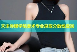 天津传媒学院美术专业录取分数线查询