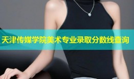 天津传媒学院美术专业录取分数线查询