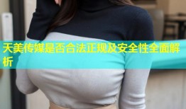 天美传媒是否合法正规及安全性全面解析