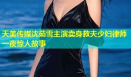 天美传媒沈茹雪主演卖身救夫少妇律师一夜惊人故事