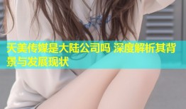 天美传媒是大陆公司吗 深度解析其背景与发展现状