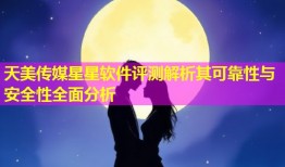 天美传媒星星软件评测解析其可靠性与安全性全面分析