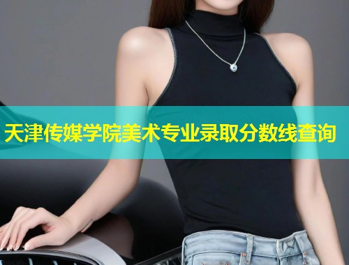 天津传媒学院美术专业录取分数线查询