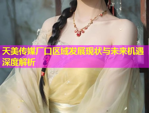 天美传媒厂口区域发展现状与未来机遇深度解析