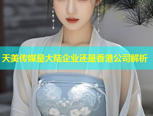天美传媒是大陆企业还是香港公司解析